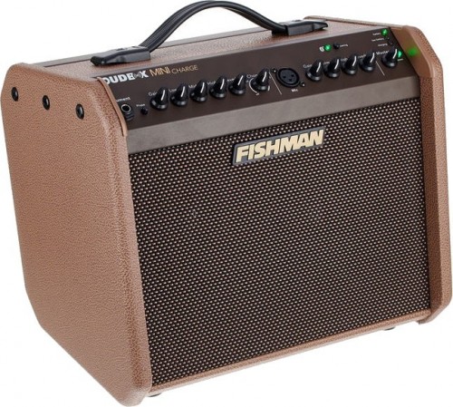 Fishman Loudbox Mini Charge