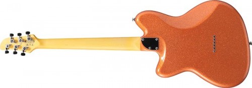 Ibanez YY20
