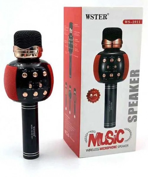 WSTER WS-2911