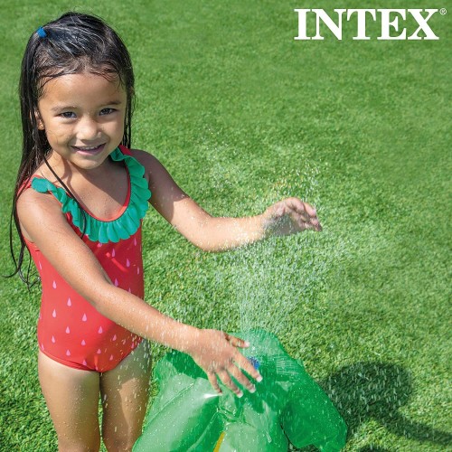 Intex 57166