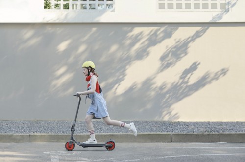 Ninebot eKickScooter Zing C15E