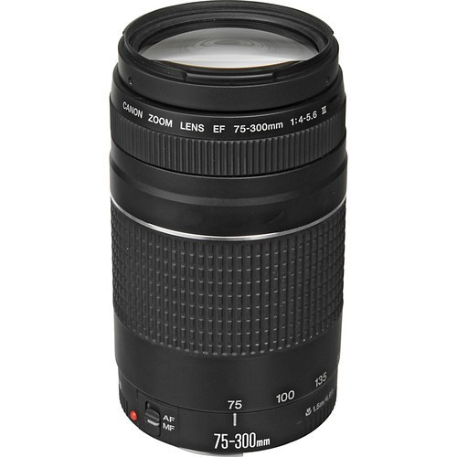 Canon 75-300mm f/4.0-5.6 EF USM III