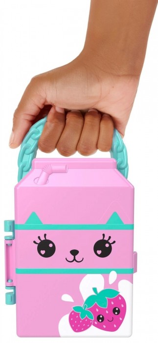 Polly Pocket Lil Styles Case HTV01