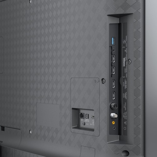 Loewe We. SEE 55 OLED