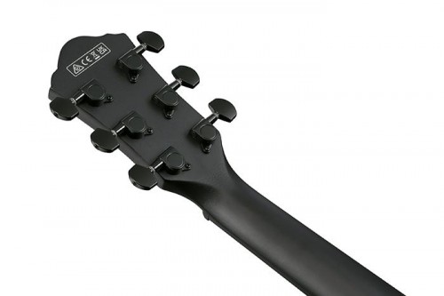 Ibanez AEWC621