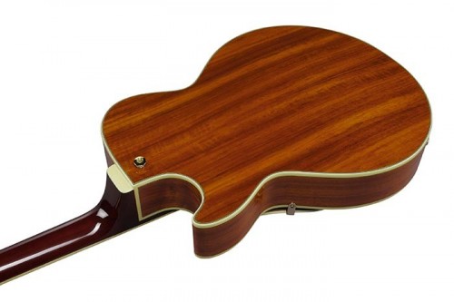 Ibanez AG95K