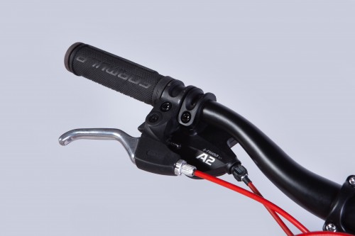 Formula Acid DD FR 24 2025