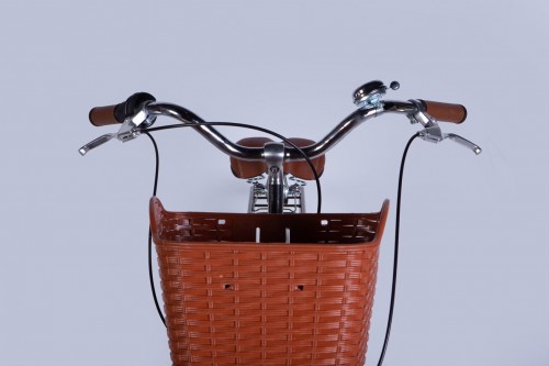 Dorozhnik Coral Vbr 2025