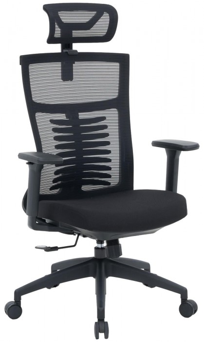 OfficePro Balance OC550