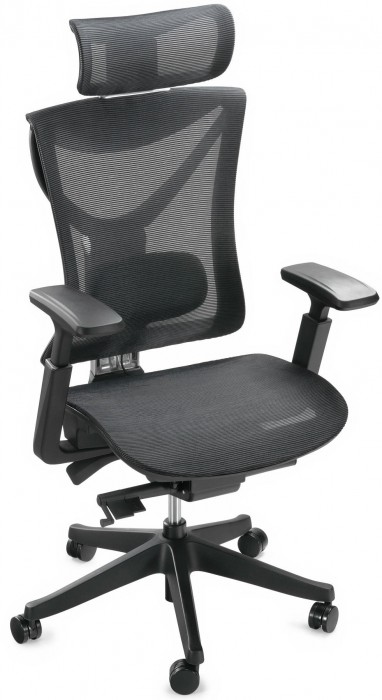 ADAPWORK S1 Mesh Senior ErgoChair