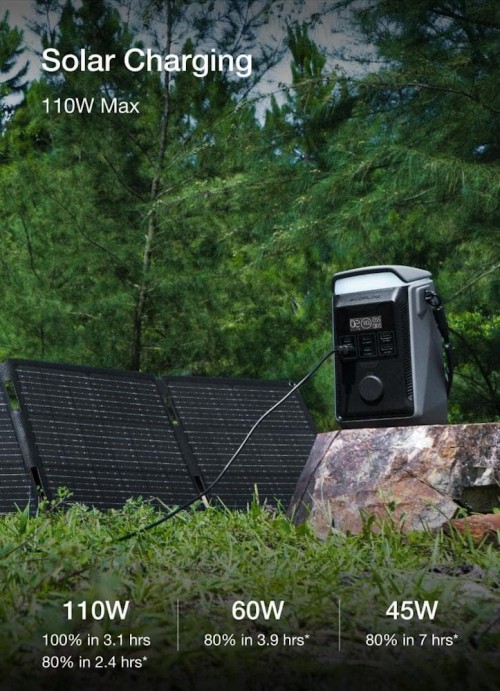 EcoFlow TRAIL Plus 300 DC