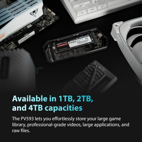 Patriot Memory PV593P1TBM28H