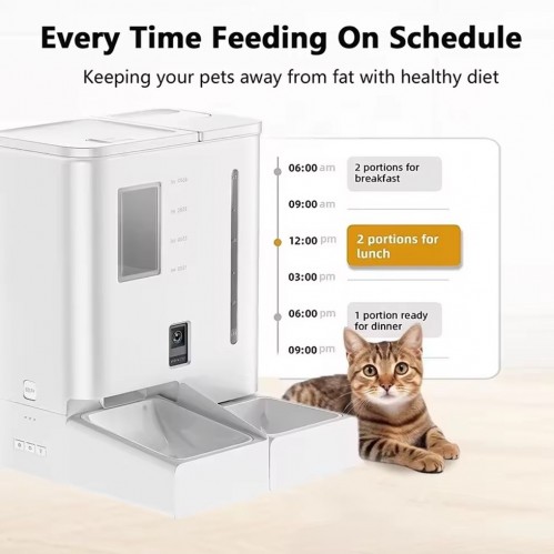 Pet Life DUF03-Video