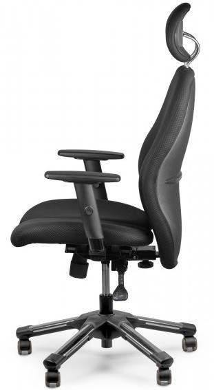 Barsky Hara Dolphin