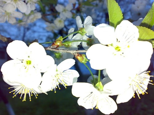 гляньте на повний екран