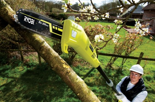 Ryobi RPP750S