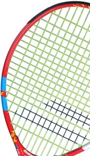 Babolat Ballfighter 21