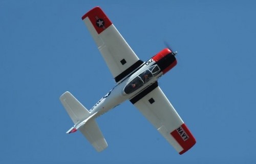 Dynam T28 Trojan