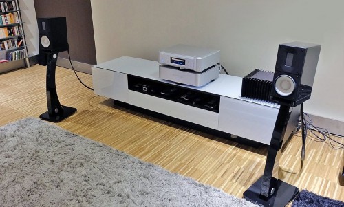 Акустическая система Raidho X 1