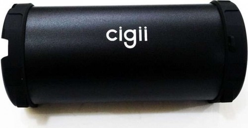 CIGII S11B