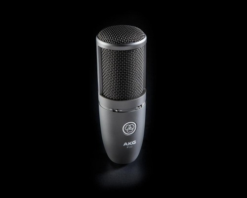 AKG P120