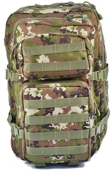Sturm Assault L 36
