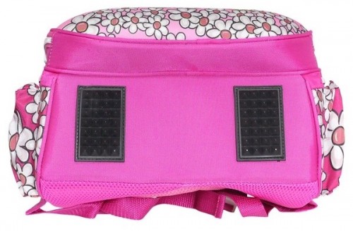 CLASS Fancy Dog 9903