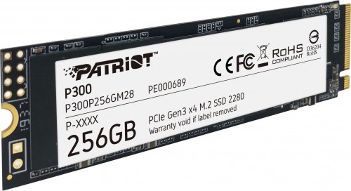 Patriot Memory P300P256GM28
