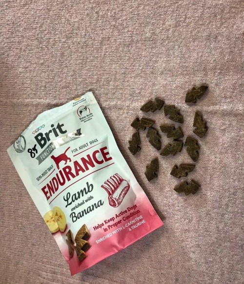 Brit Care Functional Snack Endurance Lamb 0.15 kg