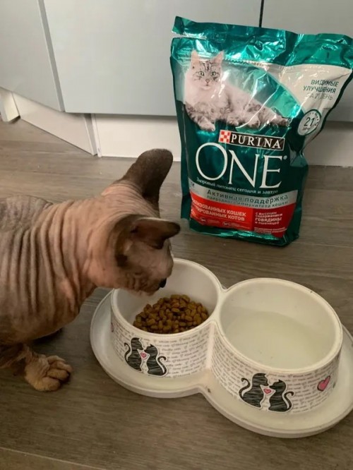 Purina ONE Sterilized Beef 3 kg