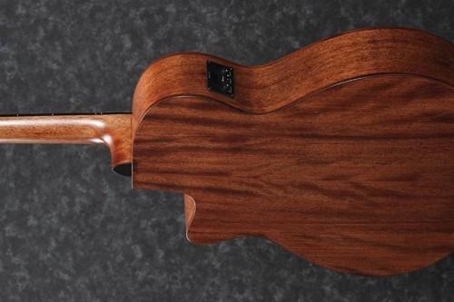Ibanez AEG200