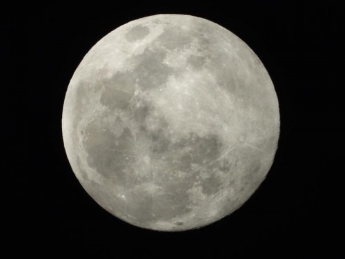 Nikon Coolpix P1000
