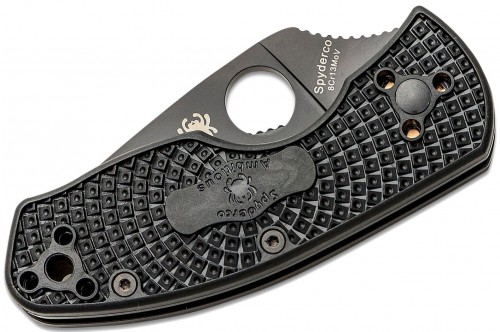 Spyderco Ambitious Lightweight BB