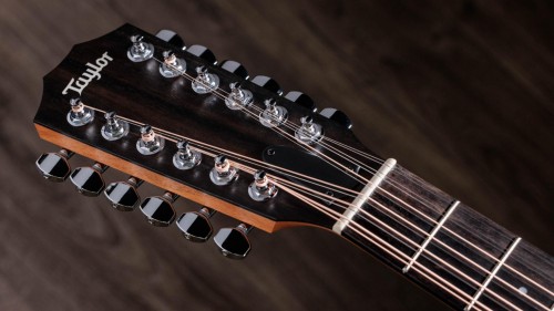Taylor 150ce