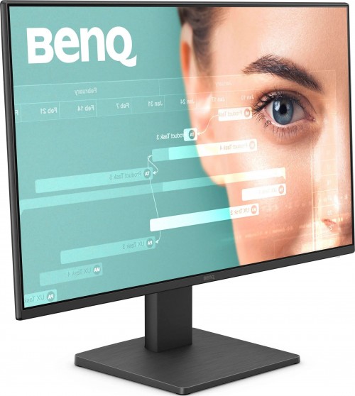 BenQ GW2491