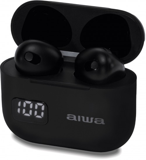 Aiwa EBTW-100