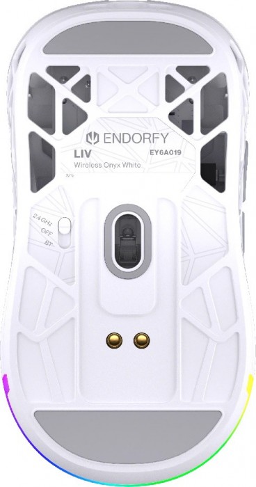 Endorfy LIV Wireless