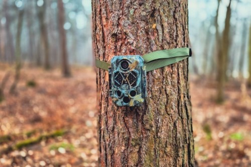 Braun Scouting Cam Black500