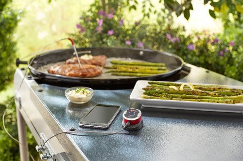 Weber iGrill mini