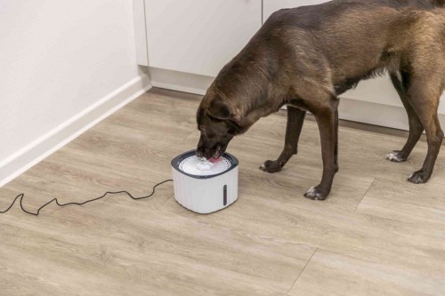 Trixie Drinking Fountain Flower