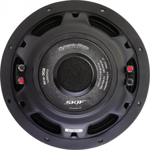 Dynamic State SKIF SKW-302