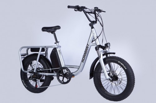 Dorozhnik eAdamant DD FR 750W 2025