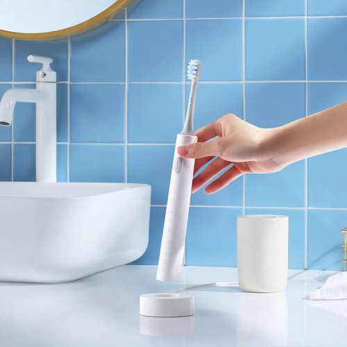 Xiaomi MiJia T301