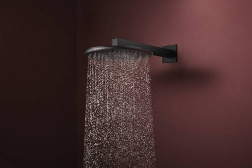 Hansgrohe Raindance Alive S 300 24520000