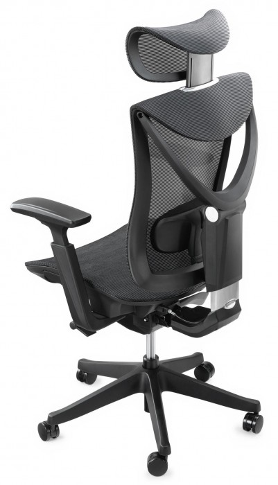 ADAPWORK S1 Mesh Senior ErgoChair