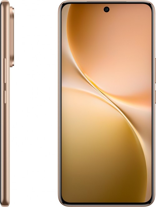 Vivo V60
