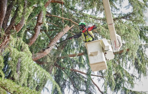 Milwaukee M18 FTPS30-0