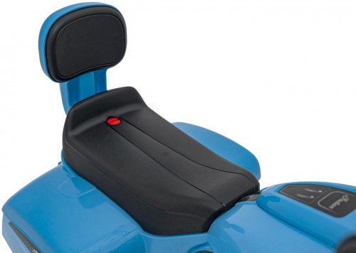 Ramiz Chopper Indian