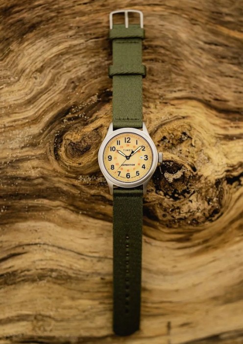 Timex Expedition North Sierra TW2V65800