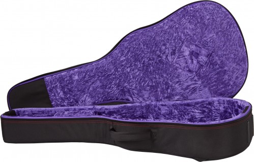 Epiphone Hummingbird Deluxe EC